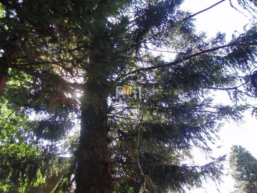 Area para Venda - 2000m², 0 dormitórios, Teresópolis