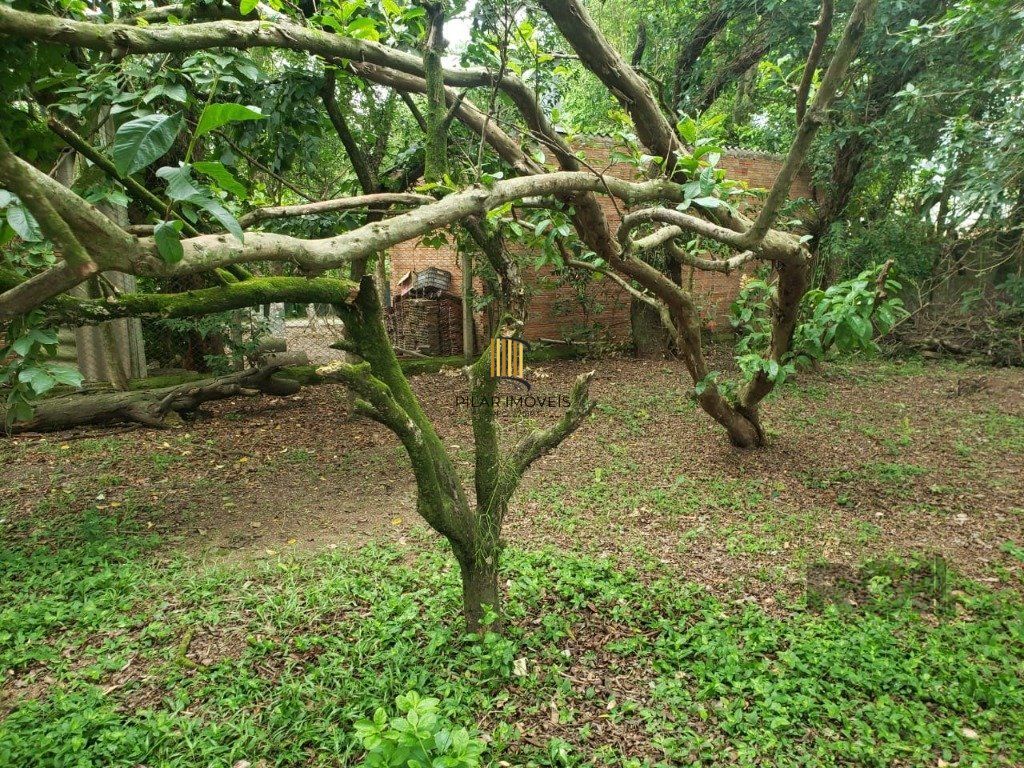 Terreno no bairro Belém Velho