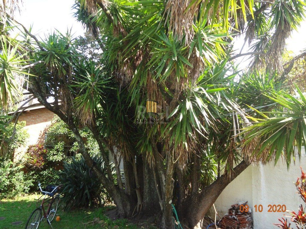 Casa para Venda - 250m², 3 dormitórios,  - Medianeira