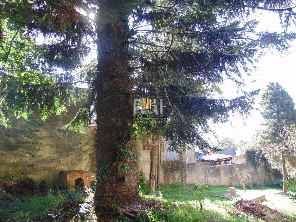 Area para Venda - 2000m², 0 dormitórios, Teresópolis