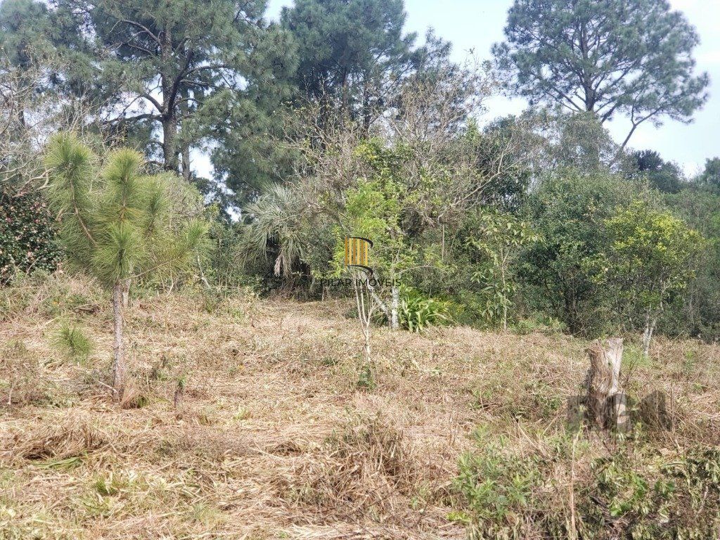 Terreno no bairro Vila Nova