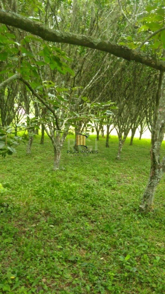 Casa para Venda - 108m², 3 dormitórios, Sanga Funda