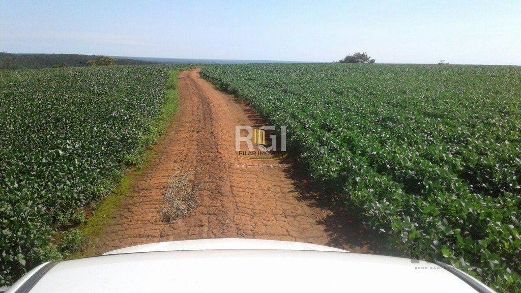 Fazenda no bairro Centro