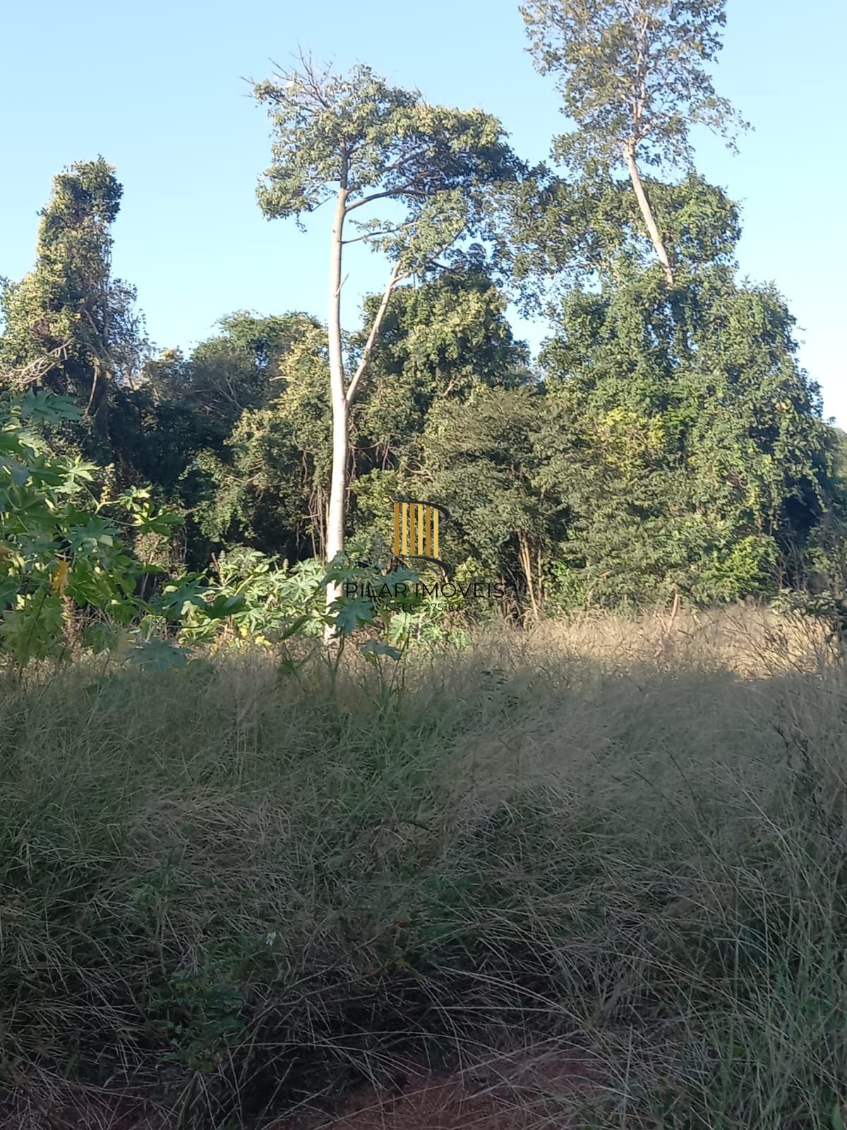 Terreno no bairro Nonoai