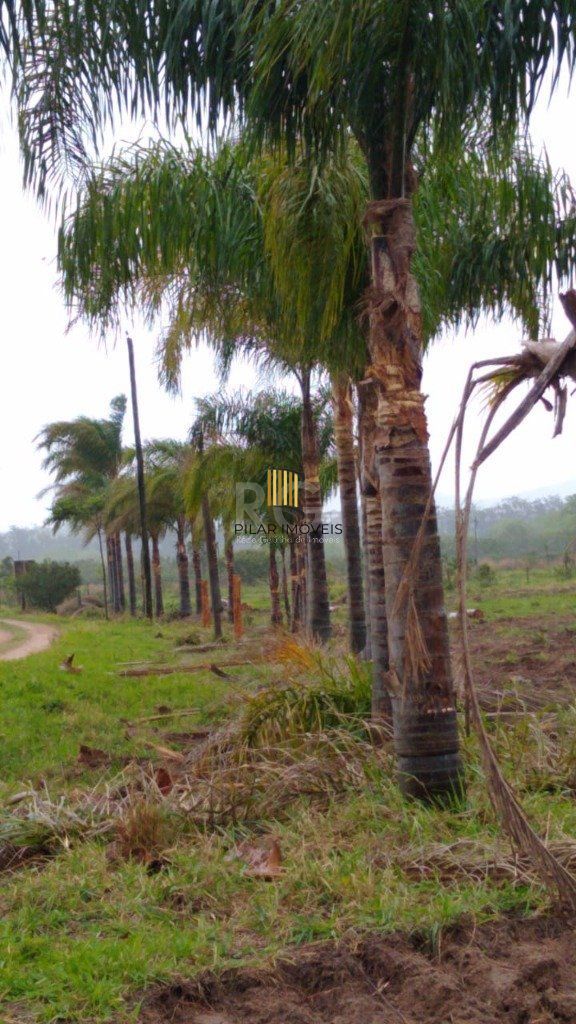 Area para Venda - 7787.1m², 0 dormitórios, Centro