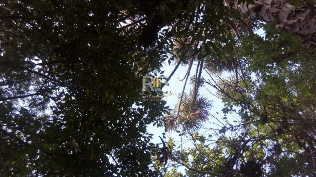 Sítio para Venda - 100m², 3 dormitórios, 9 vagas - Pinheiro