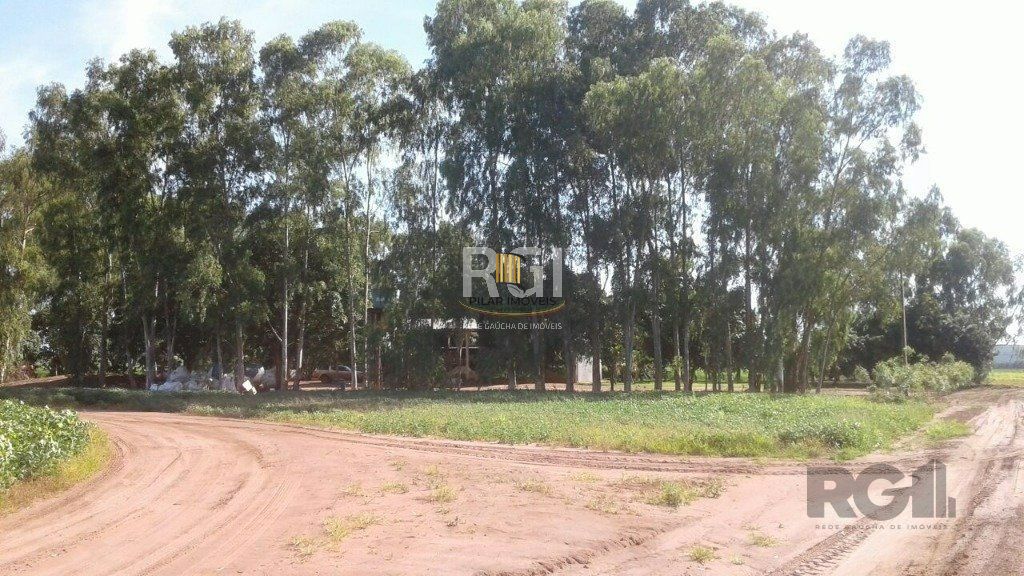 Fazenda no bairro Centro