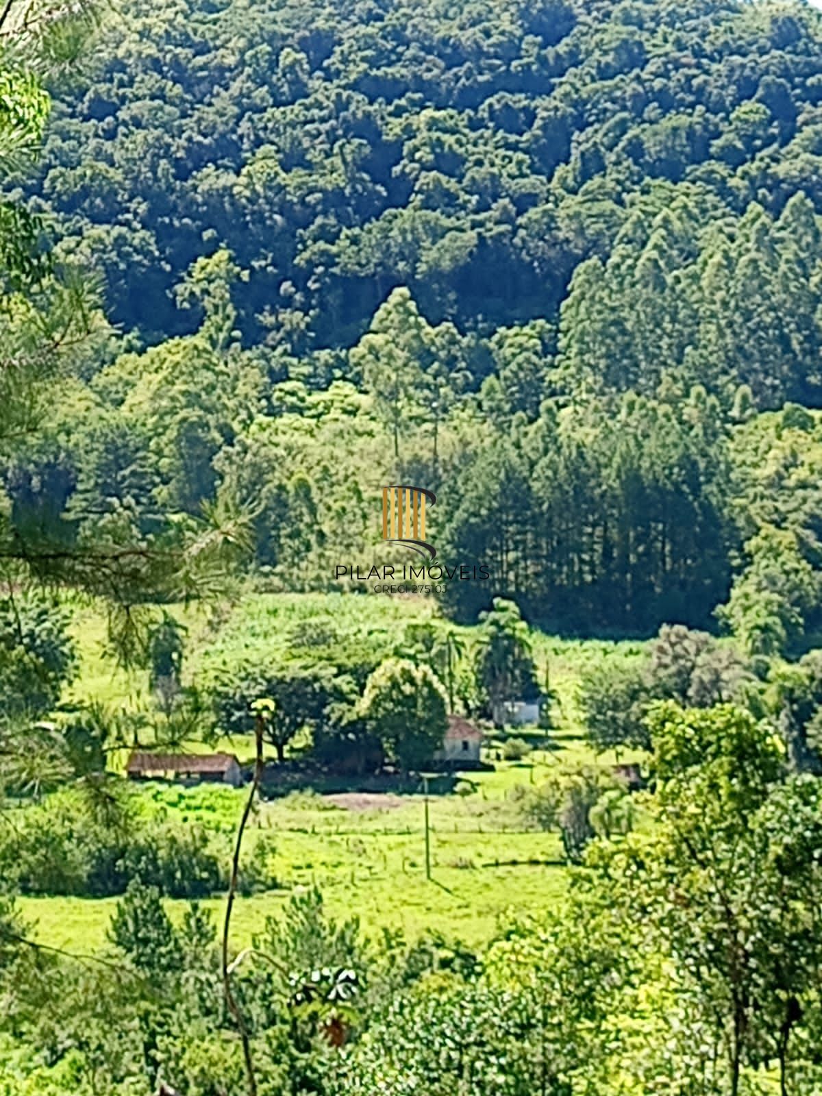 Terreno no bairro Padilha