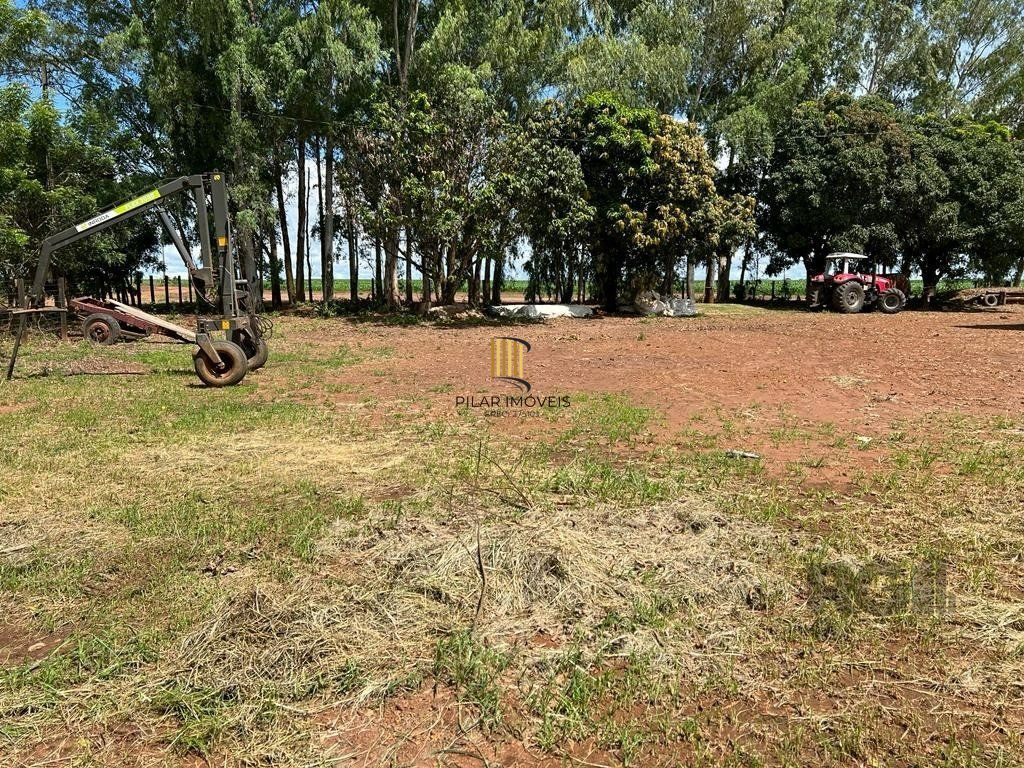 Fazenda no bairro Centro
