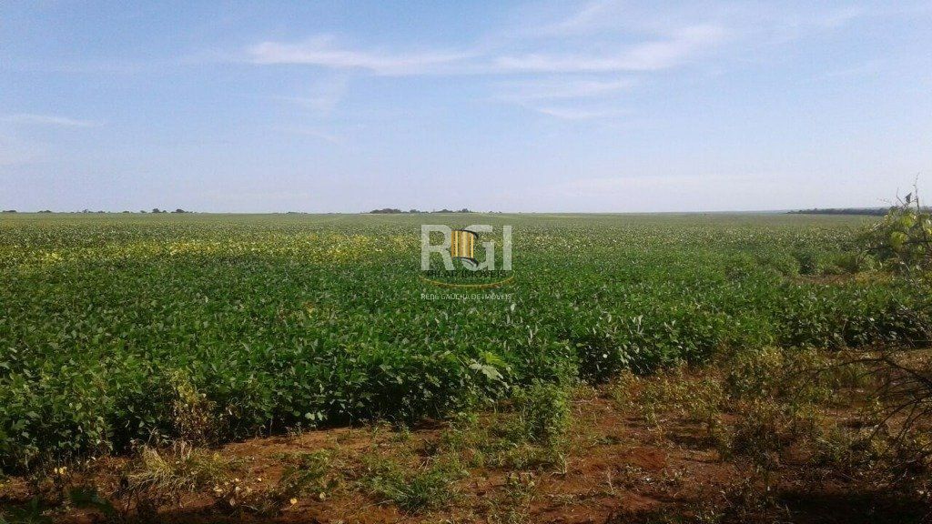 Fazenda no bairro Centro