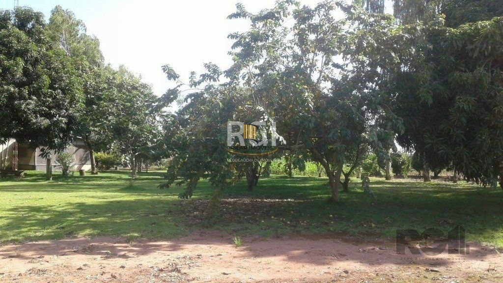 Fazenda no bairro Centro