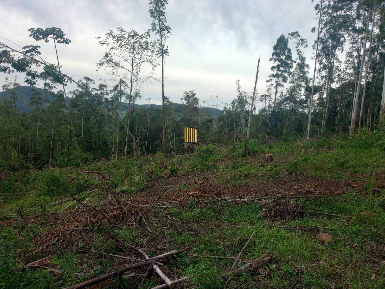 Terreno no bairro Padilha
