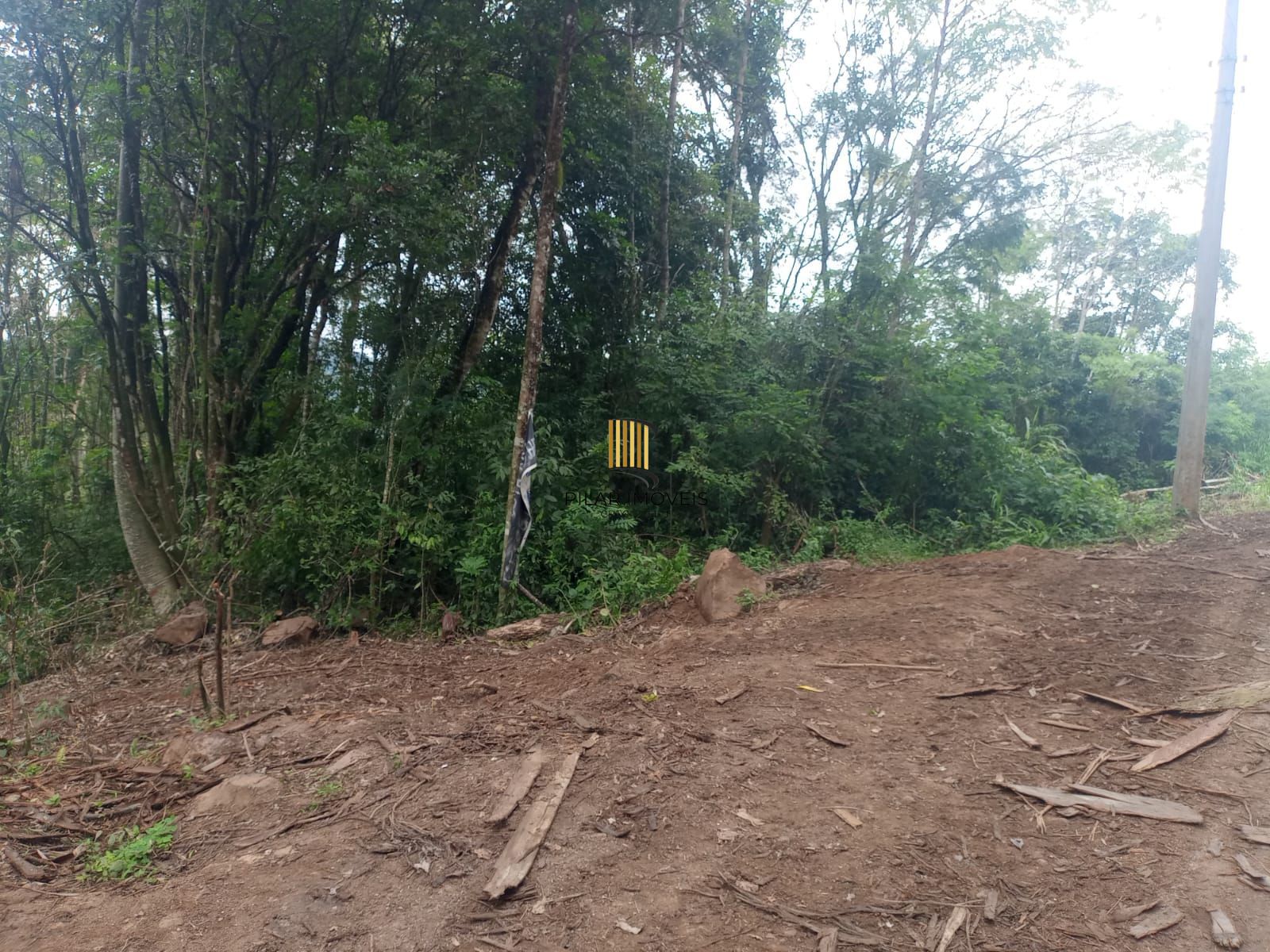 Terreno no bairro Padilha