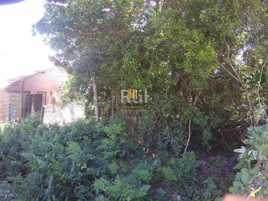 Terreno para Venda - 524.4m², 0 dormitórios, Teresópolis