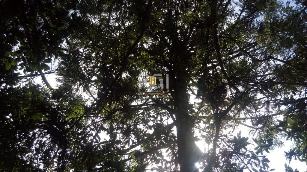 Sítio para Venda - 100m², 3 dormitórios, 9 vagas - Pinheiro