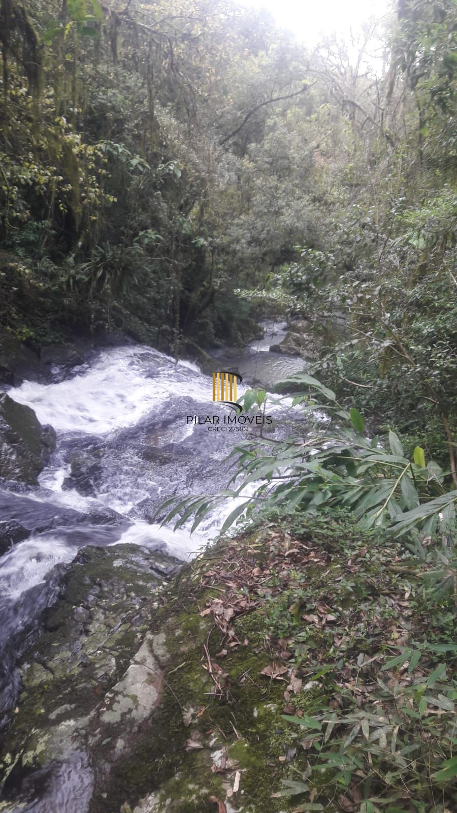 Terreno no bairro Padilha