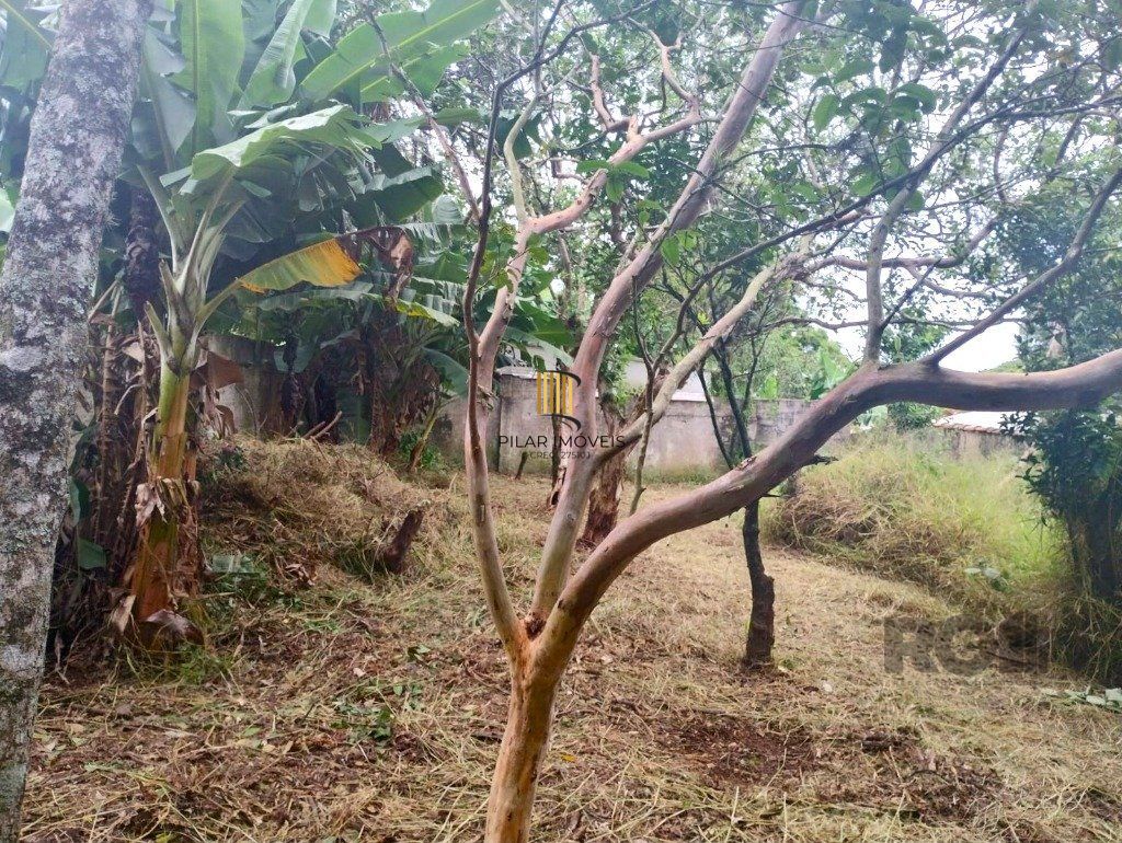 Terreno de 440m² no bairro Belém Novo