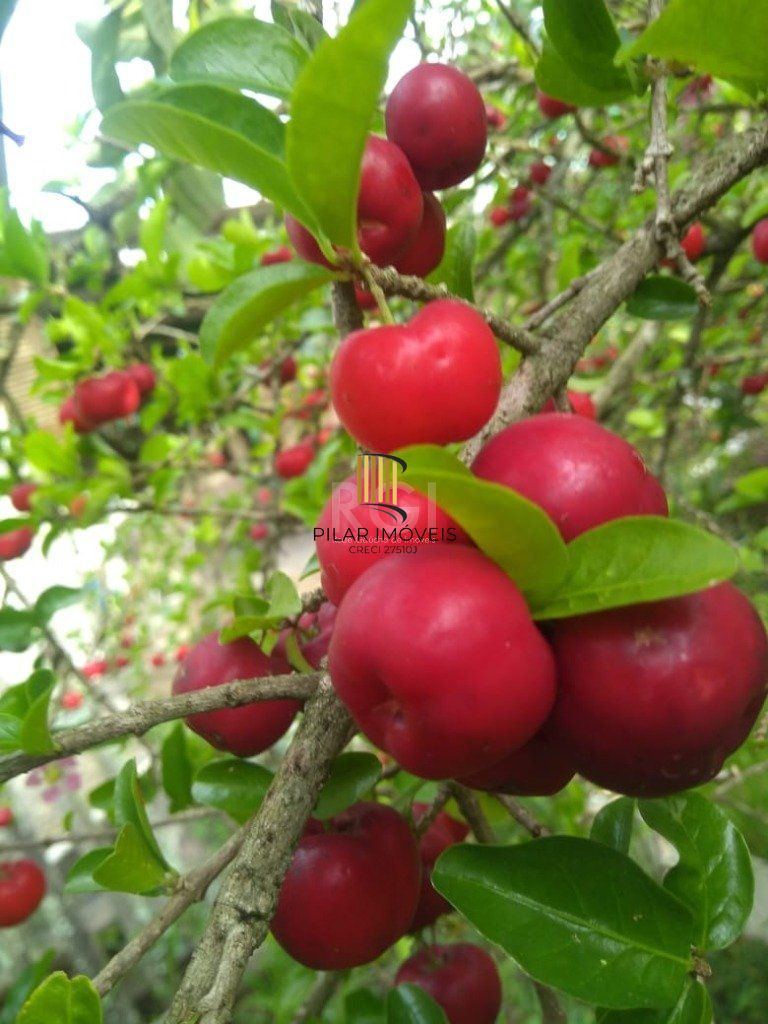 Casa para Venda - 120m², 3 dormitórios, 4 vagas - Krahe