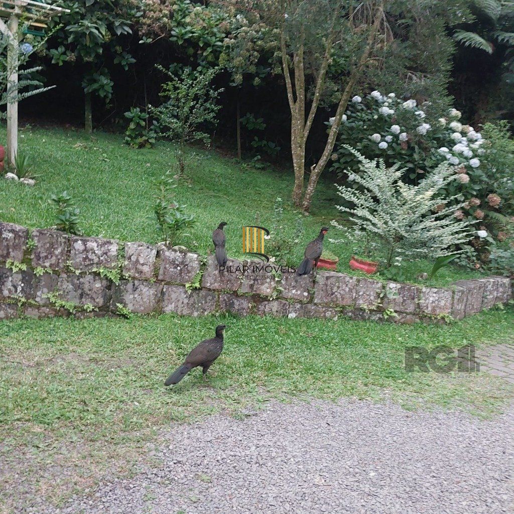 Casa 5 dormitórios no bairro São Bernardo