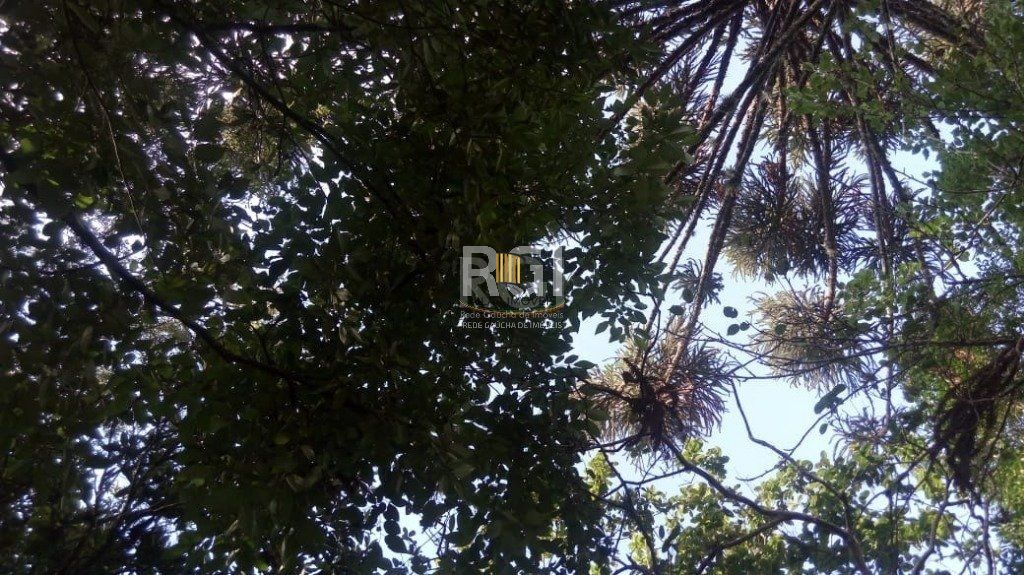 Sítio para Venda - 100m², 3 dormitórios, 9 vagas - Pinheiro