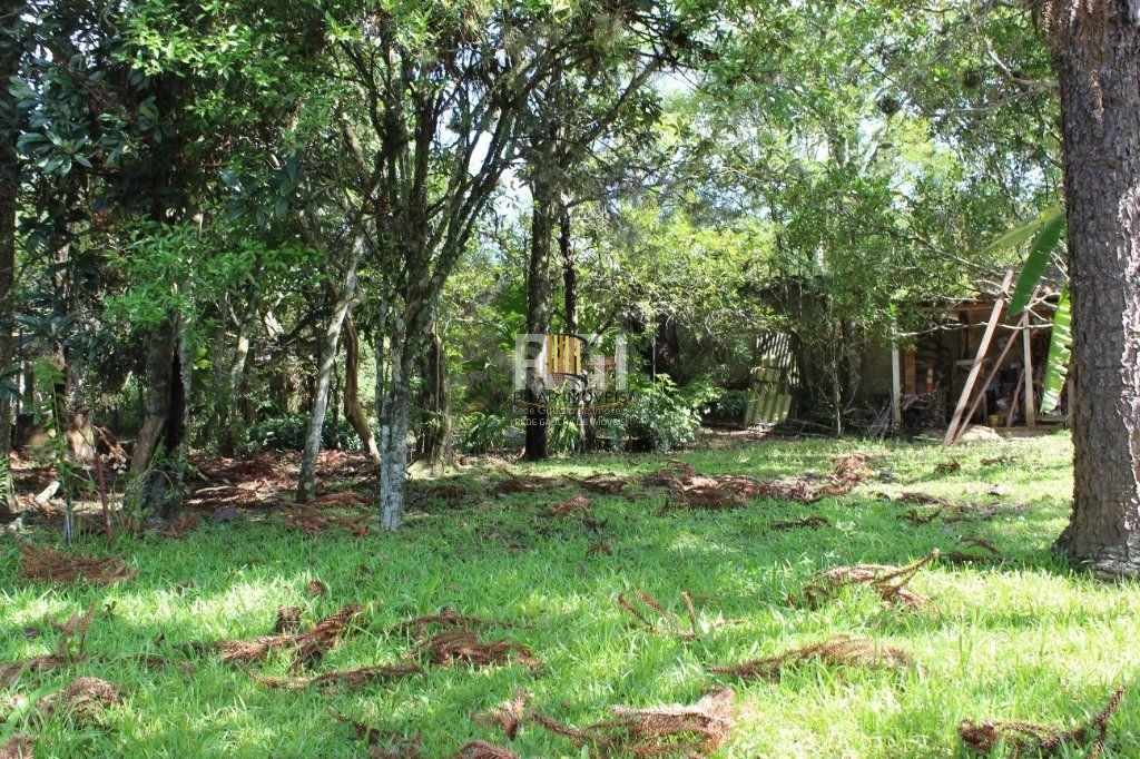 Sítio para Venda - 100m², 3 dormitórios, 9 vagas - Pinheiro