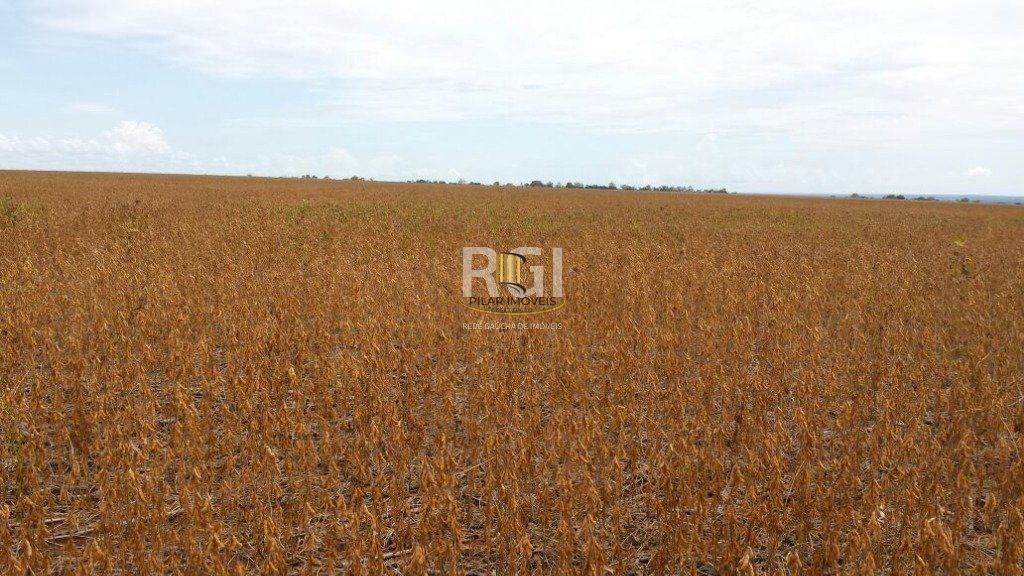 Terreno para Venda - 0m², 0 dormitórios, Centro