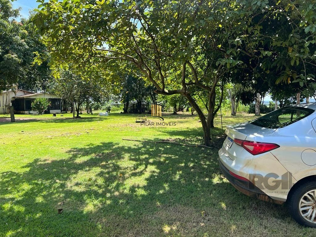 Fazenda no bairro Centro