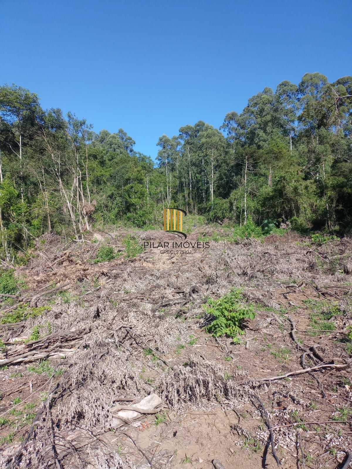Terreno no bairro Padilha
