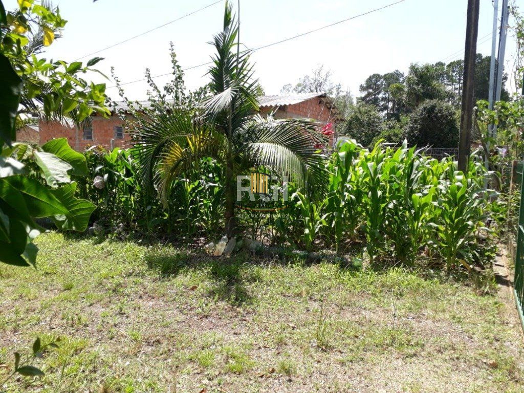 Terreno para Venda - 0m², 0 dormitórios, Itapuã