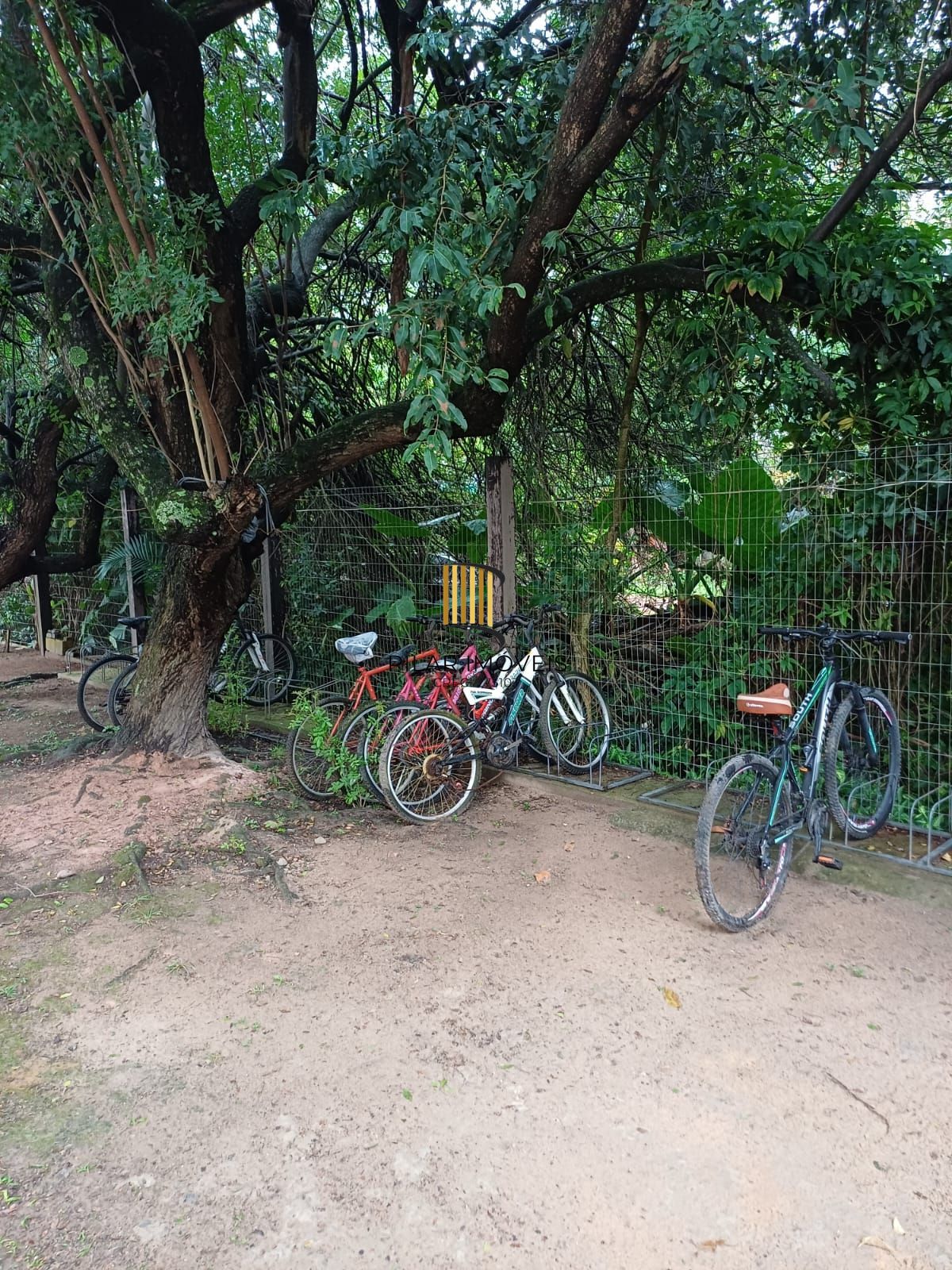 Apartamento 2 dormitórios no bairro Cristal