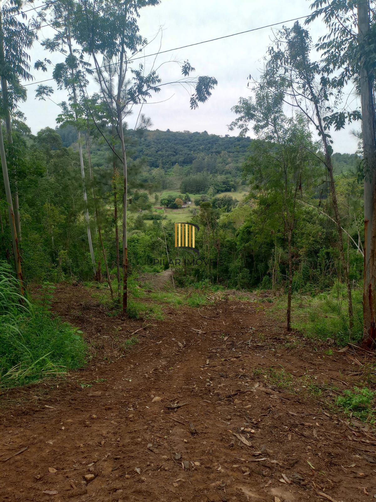 Terreno no bairro Padilha