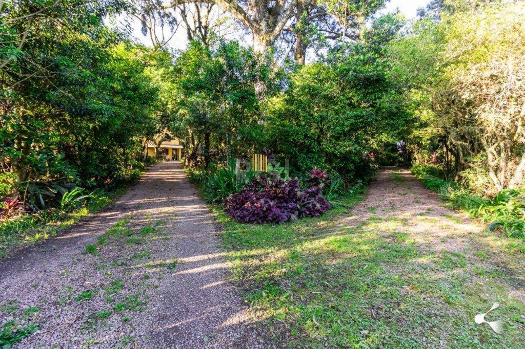 Sítio para Venda - 25000m², 0 dormitórios, Lomba do Pinheiro