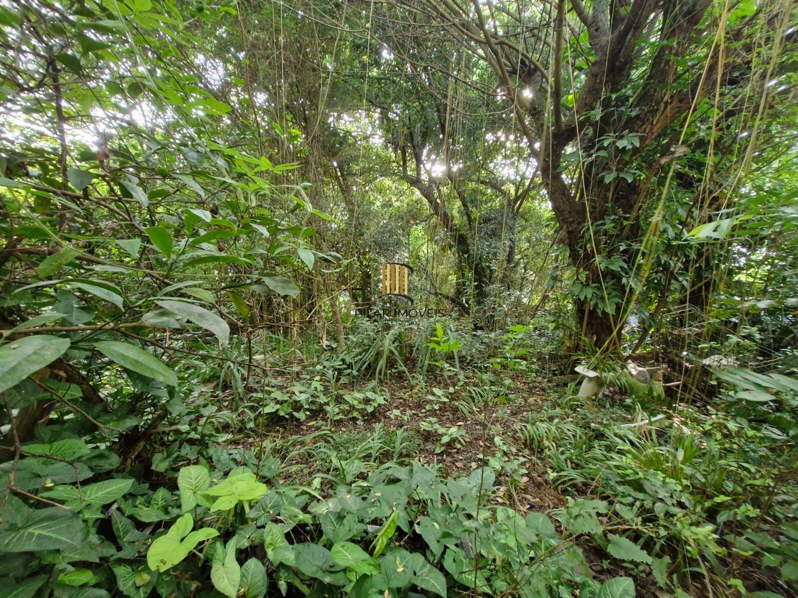 Terreno de esquina com 1.430m² no em Teresópolis.