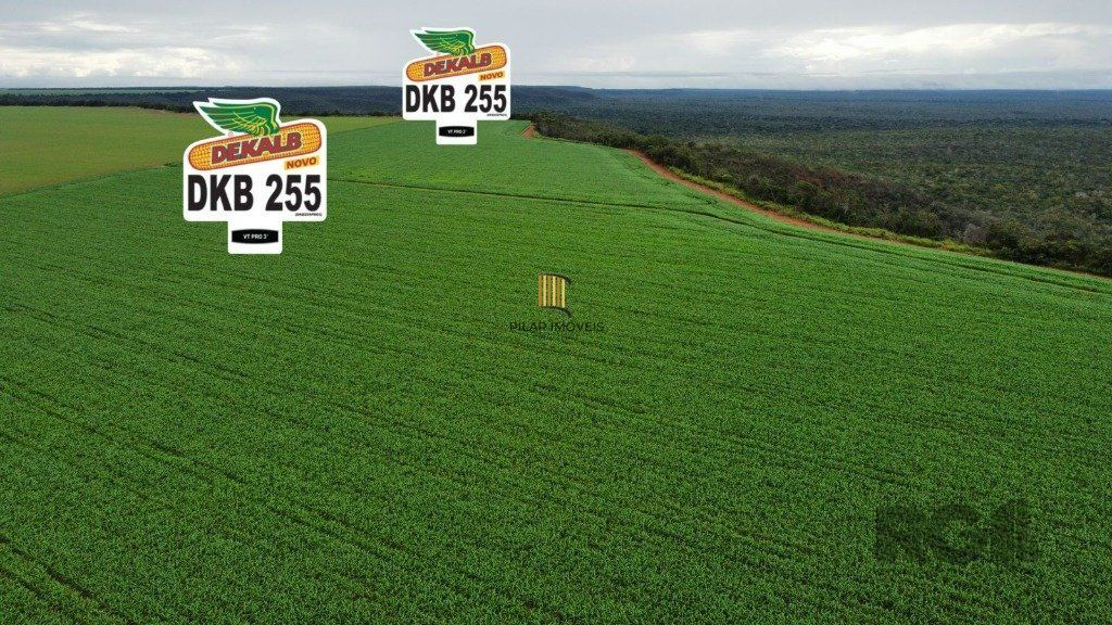 Fazenda no bairro Centro