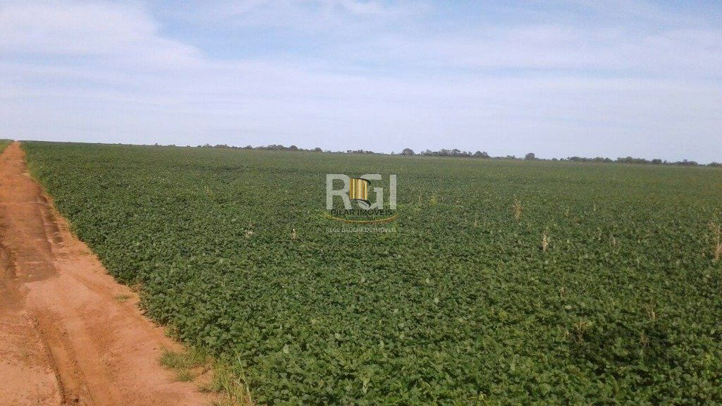 Fazenda no bairro Centro