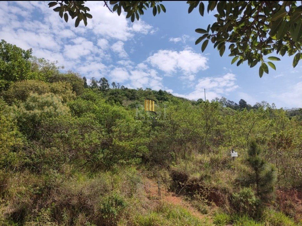 Area para Venda - 0m², 0 dormitórios, Cascata