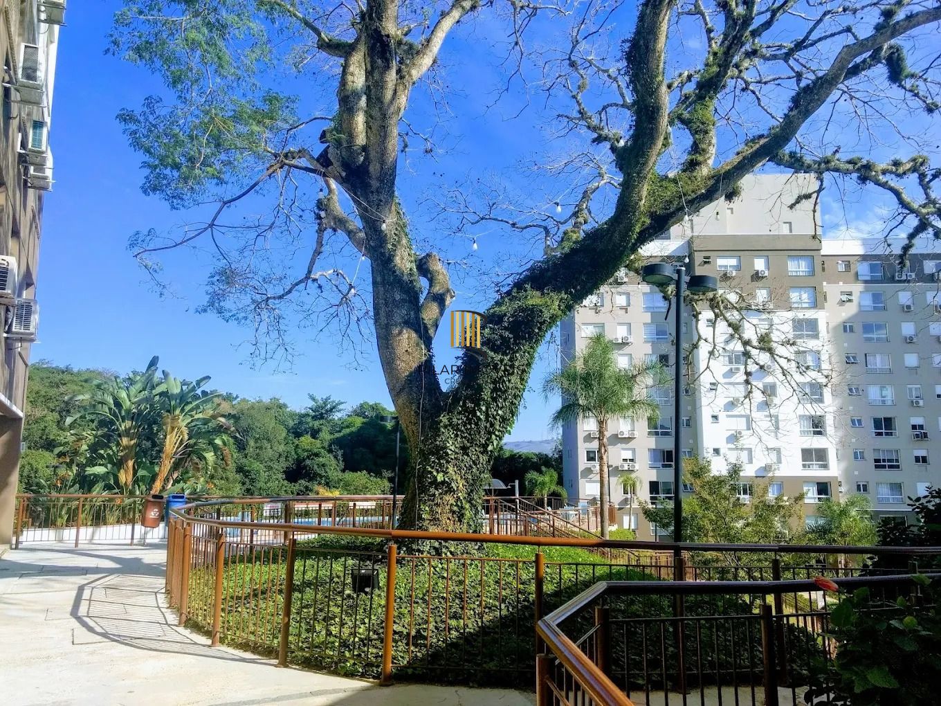 Apartamento com 3 quartos e 80m² à venda em Jardim Carvalho, Porto Alegre