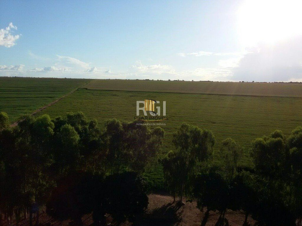 Fazenda no bairro Centro