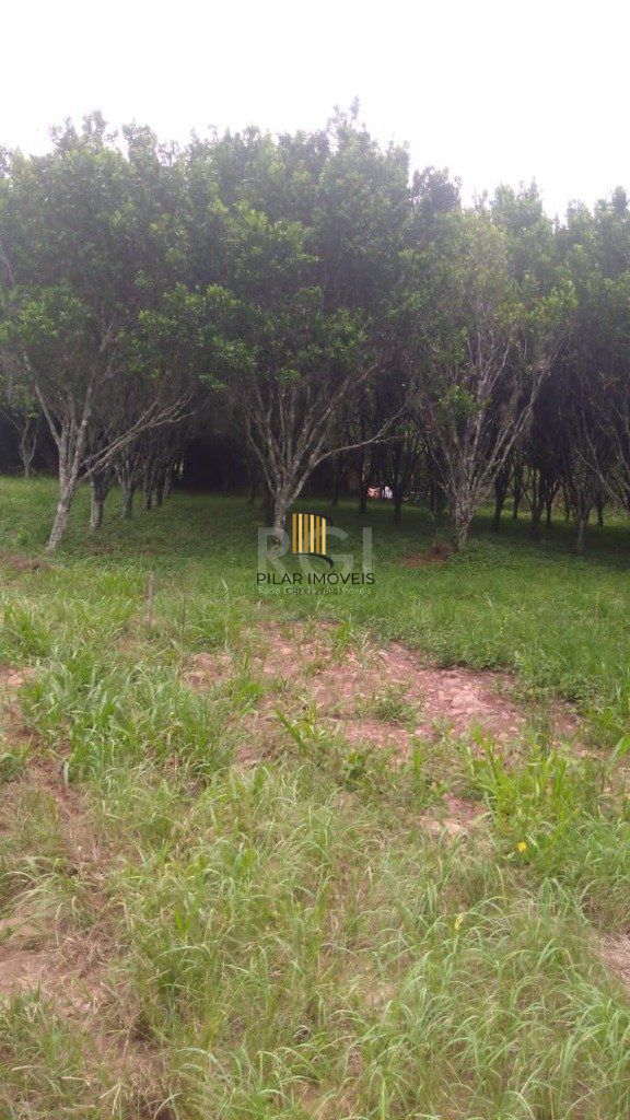 Casa para Venda - 108m², 3 dormitórios, Sanga Funda