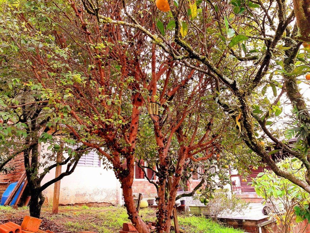 Casa para Venda - 120m², 3 dormitórios, 4 vagas - Krahe