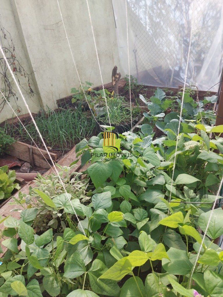 Casa com 400m² privativos e 1000m² de terreno, com vista. Um paraíso no Morro Apamecor!