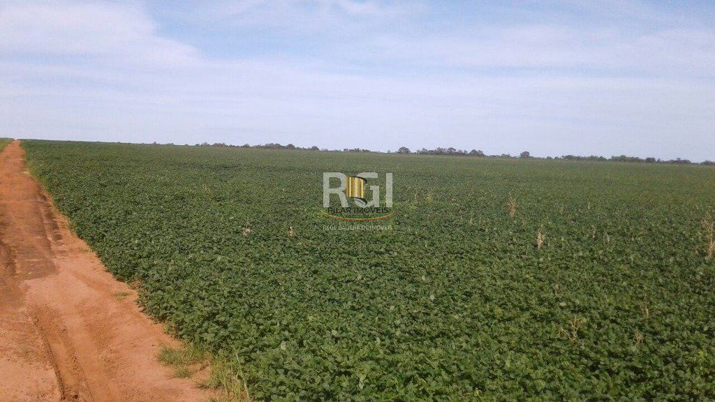 Terreno para Venda - 0m², 0 dormitórios, Centro