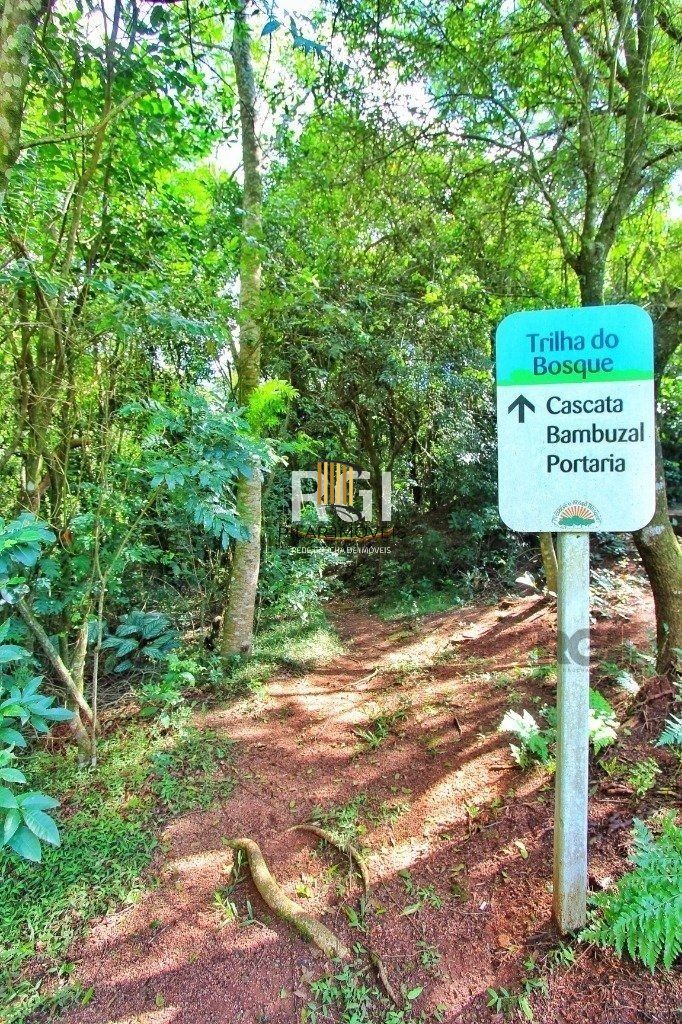 Apartamento 3 dormitórios no bairro Nonoai