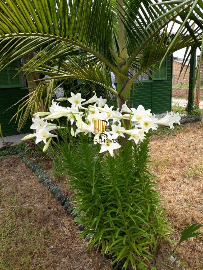 Terreno para Venda - 0m², 0 dormitórios, Itapuã