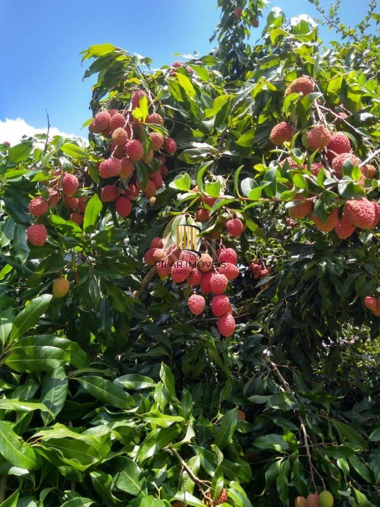 Casa para Venda - 120m², 3 dormitórios, 4 vagas - Krahe