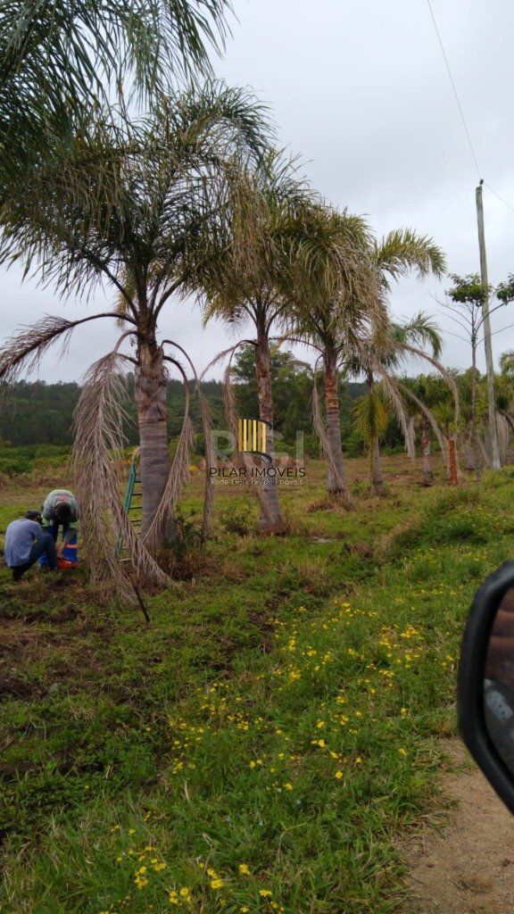 Area para Venda - 7787.1m², 0 dormitórios, Centro