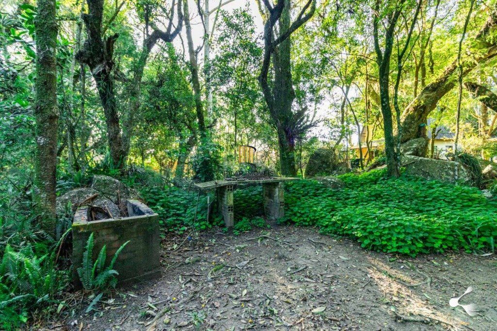 Sítio para Venda - 25000m², 0 dormitórios, Lomba do Pinheiro