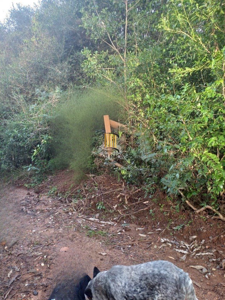 Terreno no bairro Aberta dos Morros em Porto Alegre