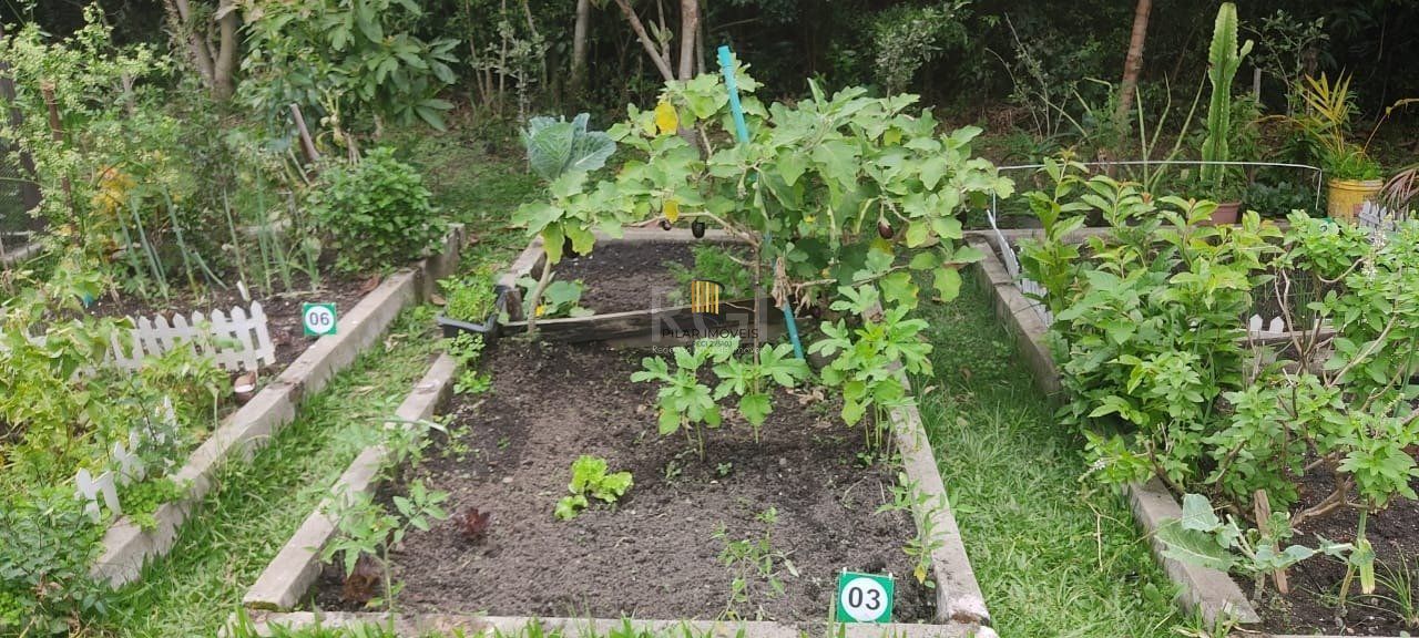 Apartamento 3 dormitórios no bairro São Sebastião