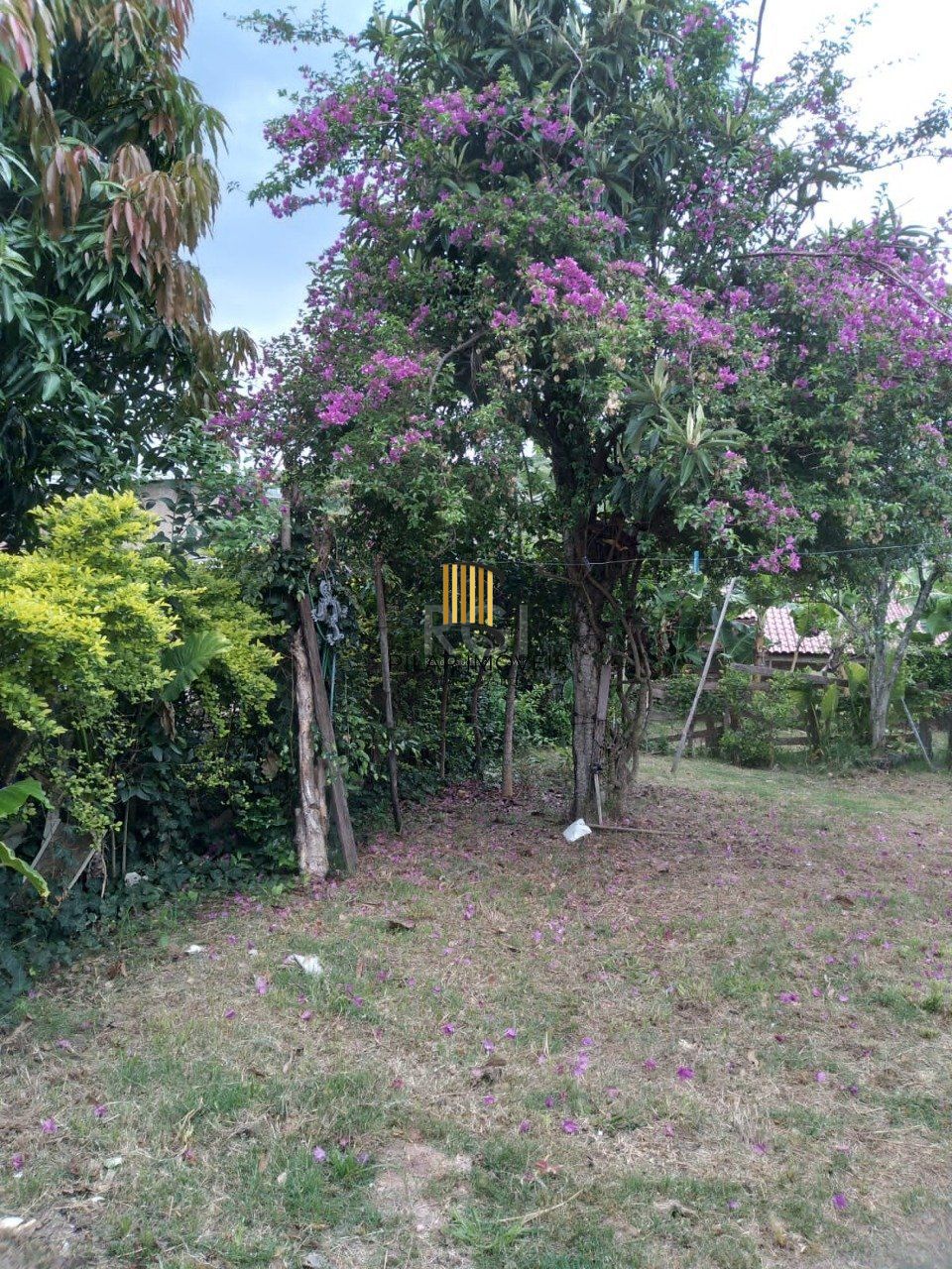 Casa 2 dormitórios no bairro Belém Novo